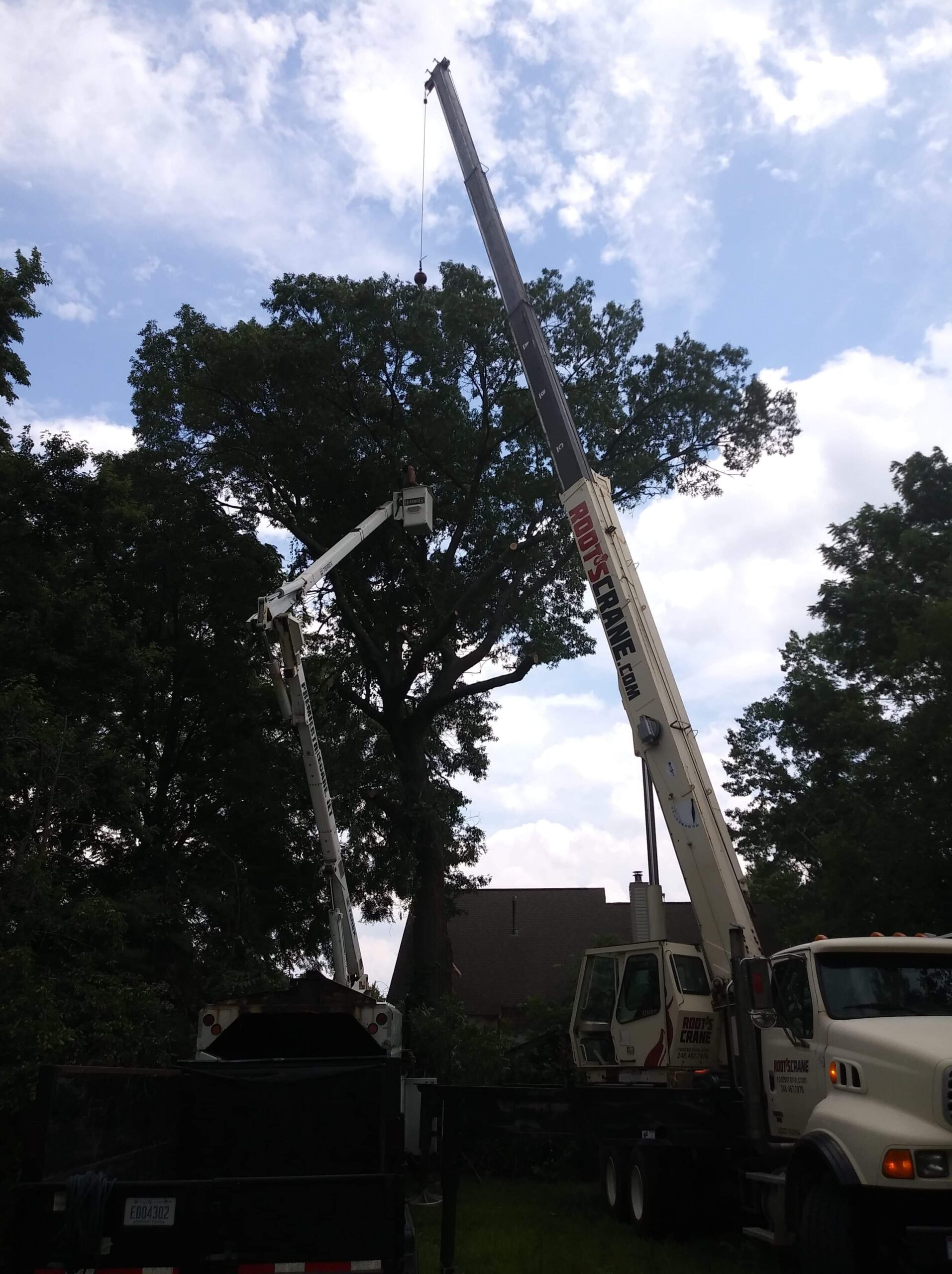Tree Removal With Bucket Truck and Crane